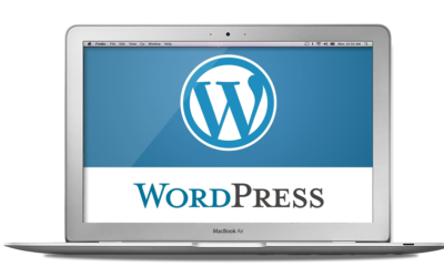 The Importance Of Updating Your WordPress Website